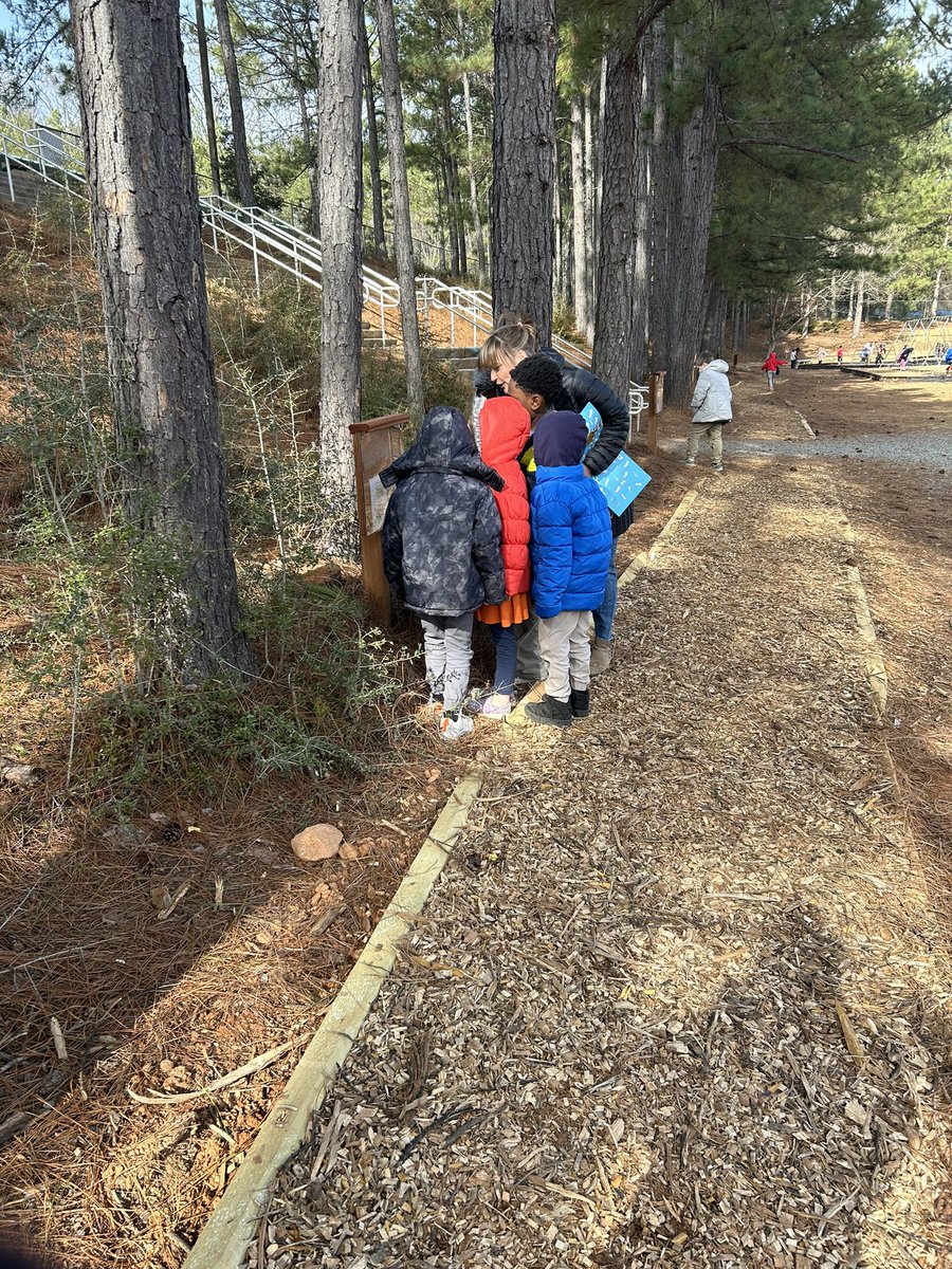 Ms.Morrison tweet media