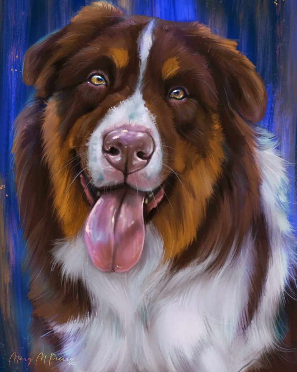 Morrigan_art_50's tweet photo. Portrait de mon petit chien, fait avec Procreate ! #portraitanimalier #digitalpainting #aussie https://t.co/dMtE4KsI9r