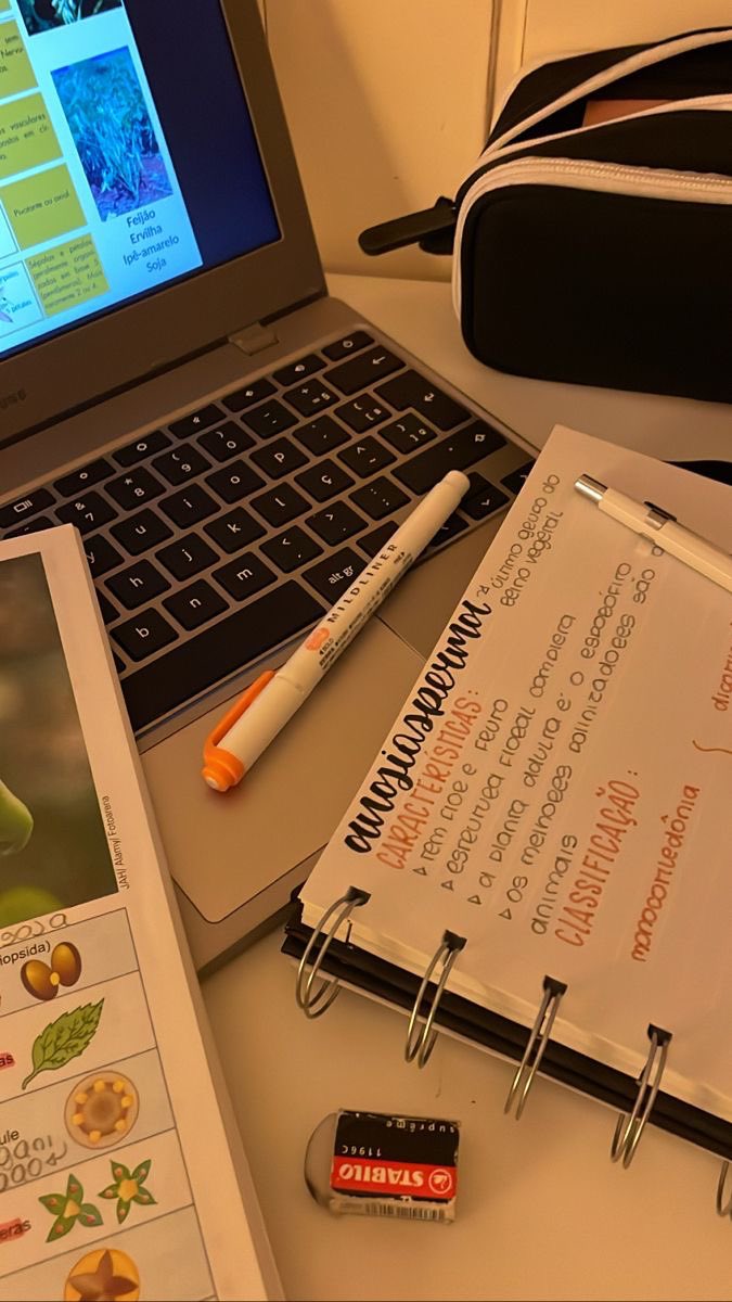 studieslsalles's tweet image. 📁💖📈 | Como faço minhas REVISÕES + FOLHA DE PLANEJAMENTO EM PDF

♡ #studytwt | #collegetwt | #lifetwt |  #studytwtbr