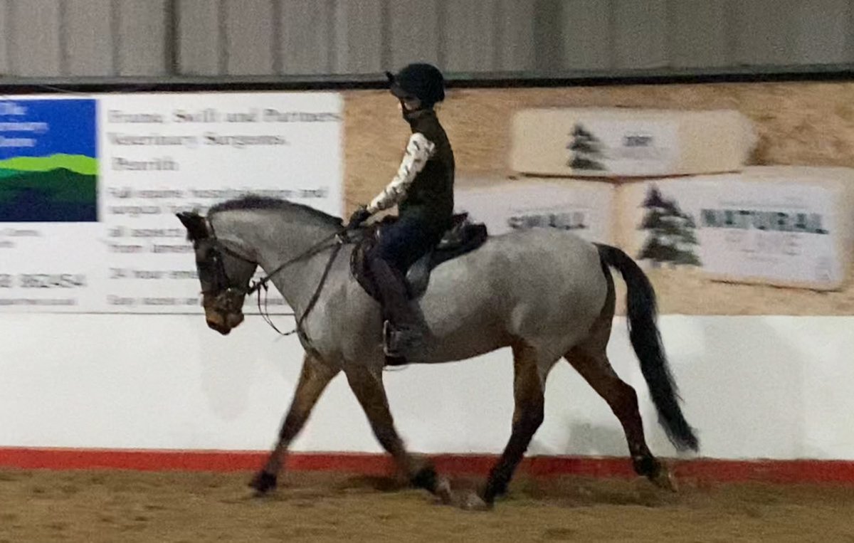 boyandhispony's tweet photo. Eat, sleep, ride,repeat!

Had a great lesson with my mum @thetalllawyer tonight. We worked on learning how to do a more constructive and focused warm up.
#training #learning 
@Sed_Equestrian @WOWsaddles https://t.co/LFnCWdOzKK