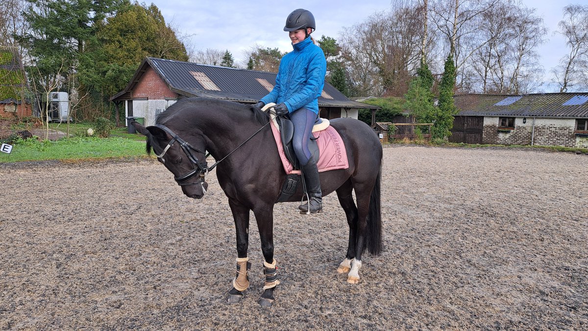 Nieuwe amazone voor Bolheim's Black Pearl Esmee Huistra