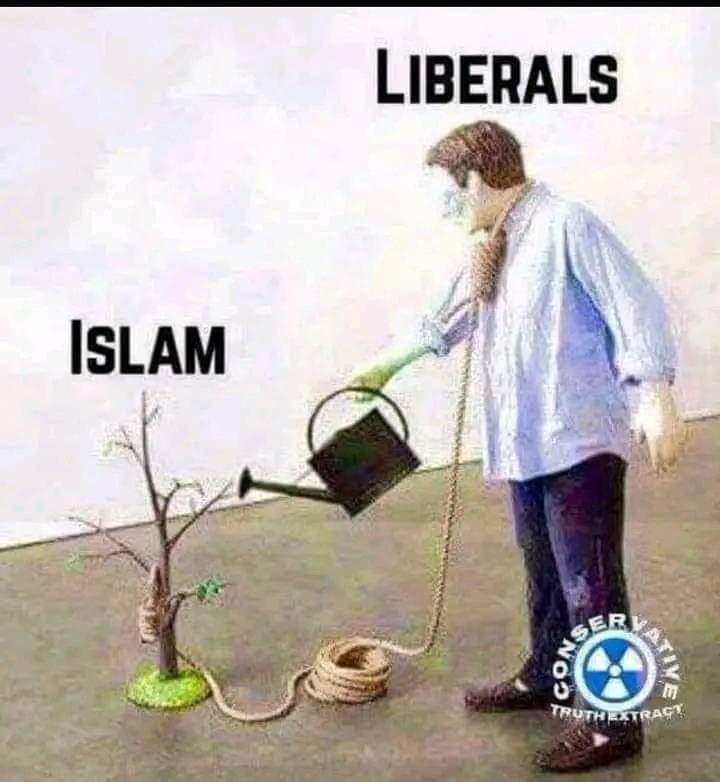 code_e_coyote's tweet image. 