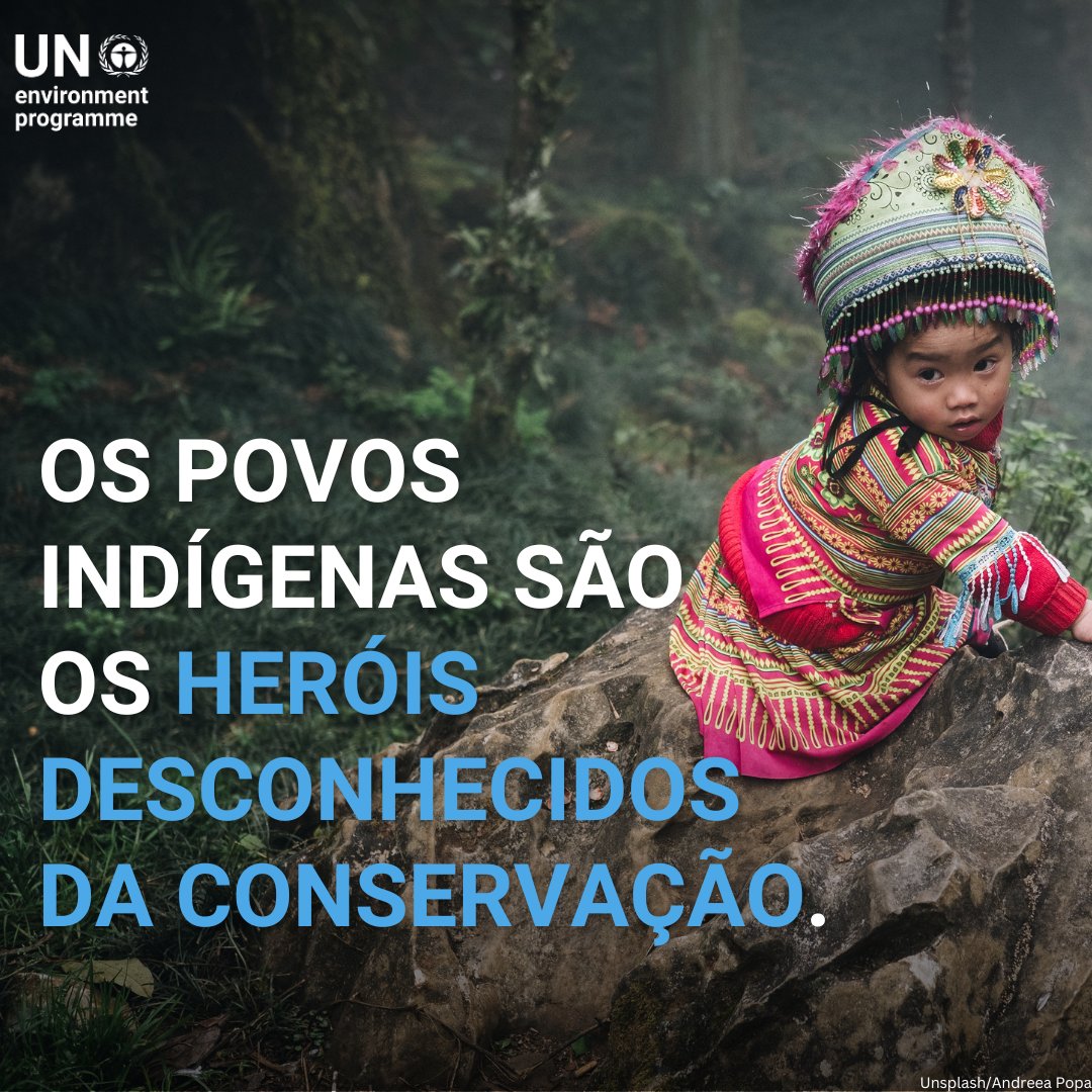NacoesUnidas's tweet photo. Todos os anos, o mundo perde 12 milhões de hectares de florestas devido ao desmatamento

Os povos indígenas estão na linha de frente dos esforços de conservação, mas é necessário um maior apoio à medida q lutam pelo bem-estar ecológico do planeta https://t.co/bg8LILR8Y4 @UNEP_pt https://t.co/pZsMOE21El