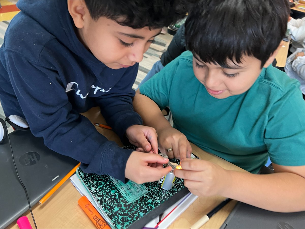 Triangle Tigers tweet media