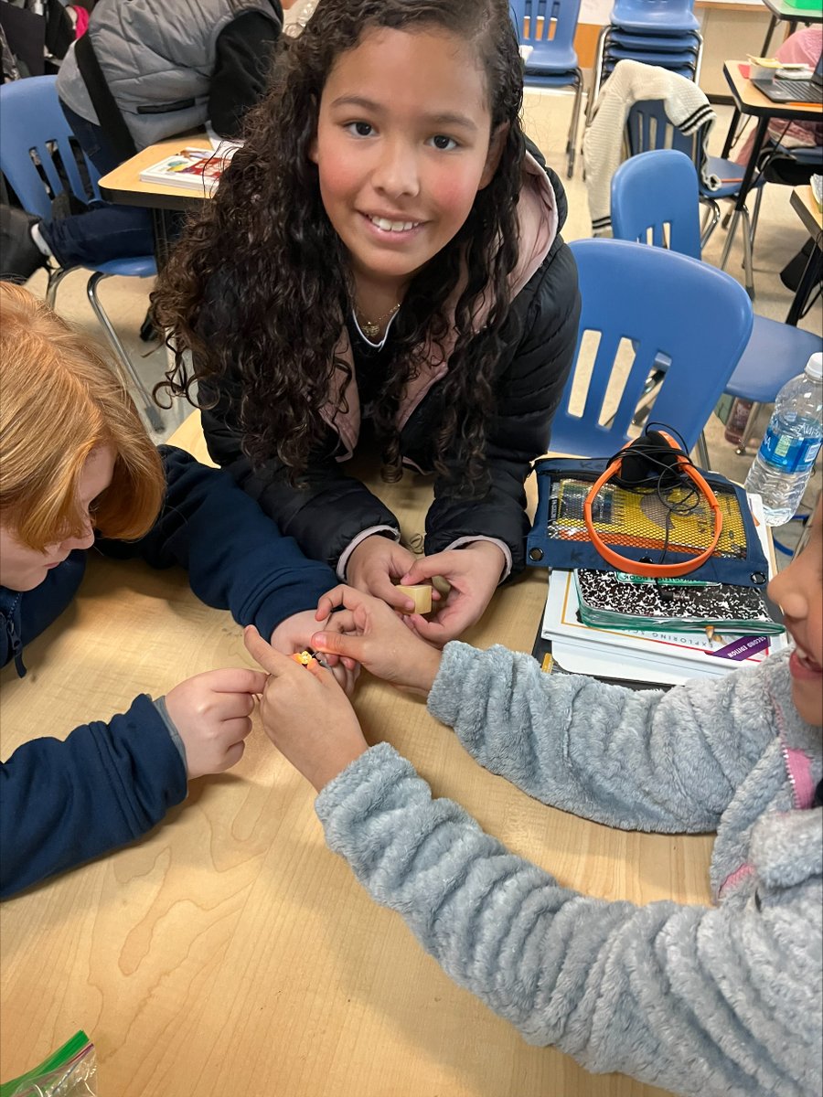 Triangle Tigers tweet media