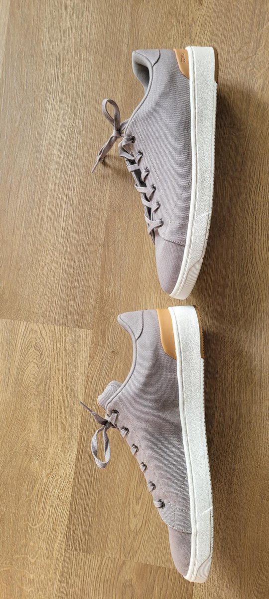 Brandon O tweet media