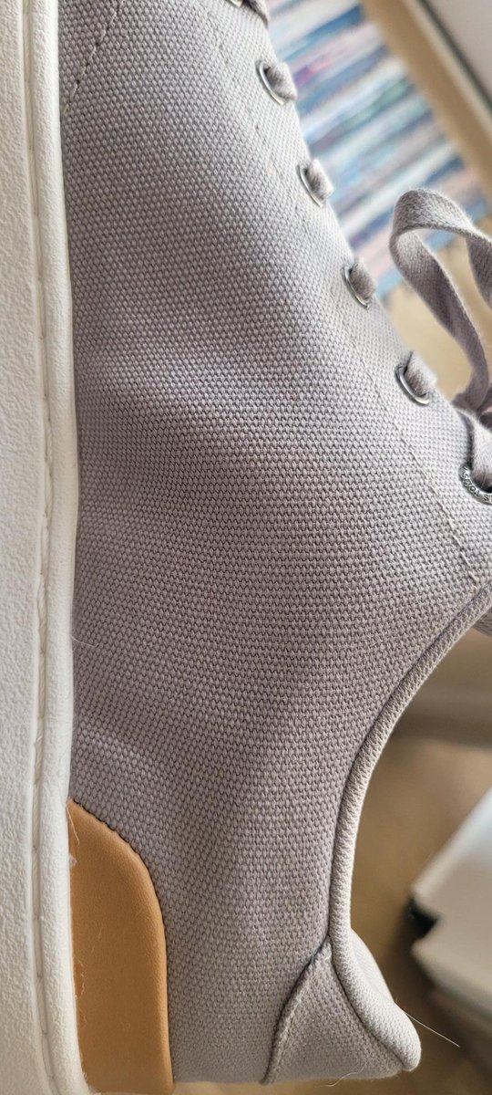 Brandon O tweet media