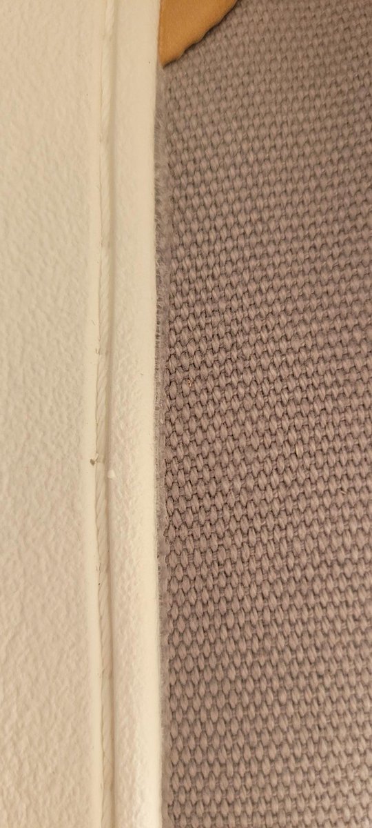 Brandon O tweet media