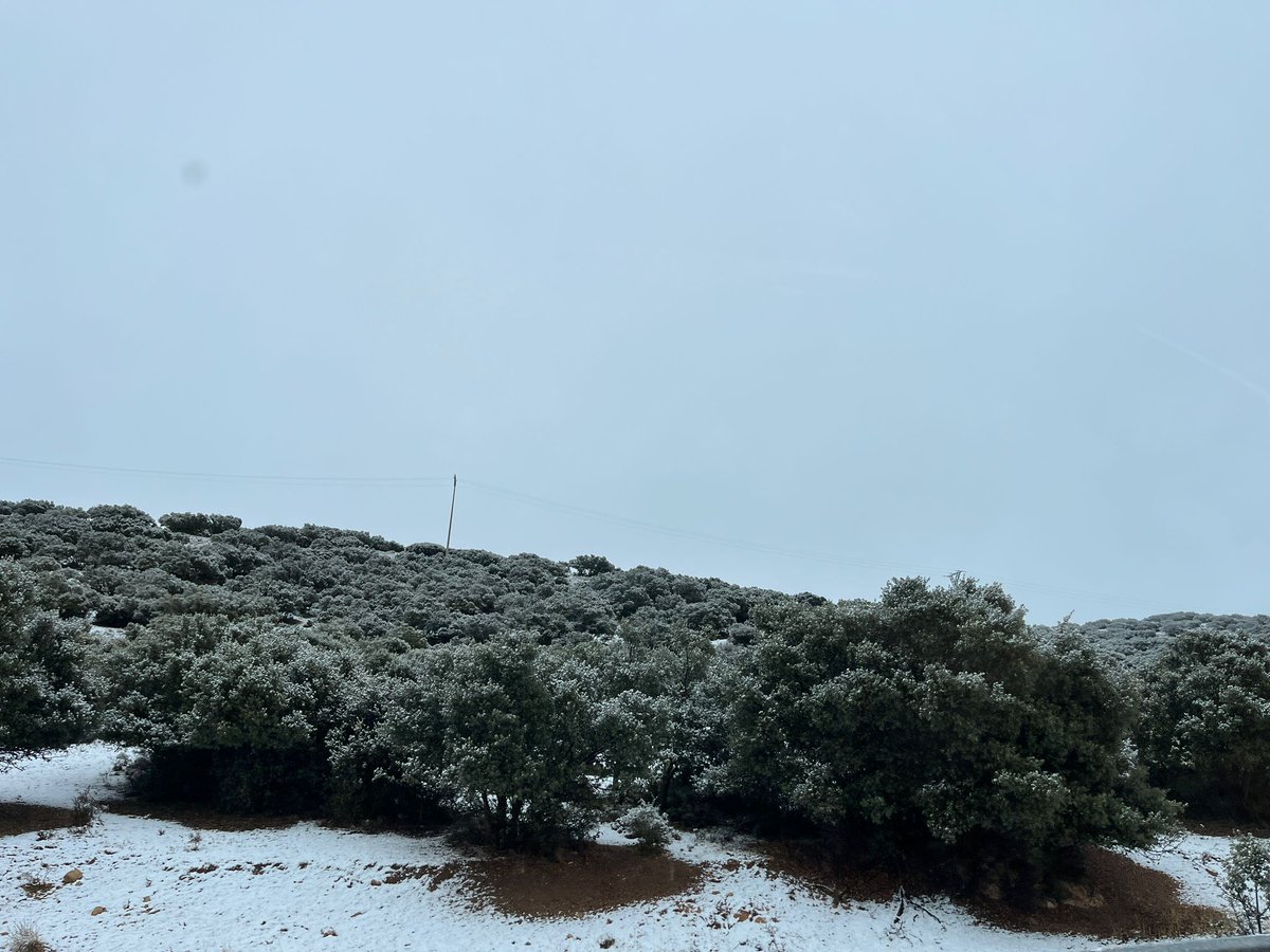 ABUENIZATE's tweet photo. Primeras nieves de 2024... A ver si cae más... https://t.co/NdfkrBadAq