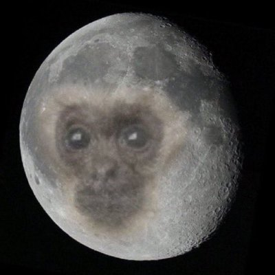 micodelaluna's tweet photo. Monitas noches....Noche de reyes.....hoy vienen....los reyes monos....si os habéis....portado bien.....quizás os dejen...un platanito o dos....recordar que....sentir gratitud...y no expresarla...es como envolver un regalo...y no darlo...un fuerte abrazo...de galletas con leche... https://t.co/FVrLTRjPAT