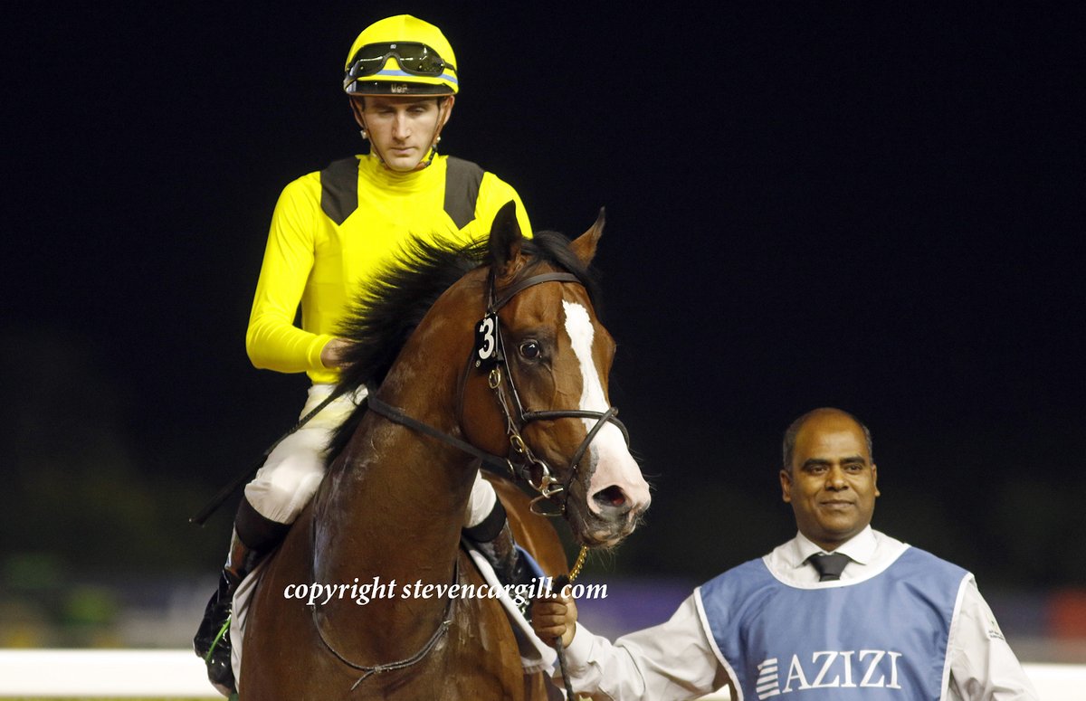 Now 2/2, colt MA YETAL @BenCoen2 wins 7f UAE 2000 Guineas Trial @RacingDubai Meydan tonight for @darbydanfarm Flameaway @mcosta_racing