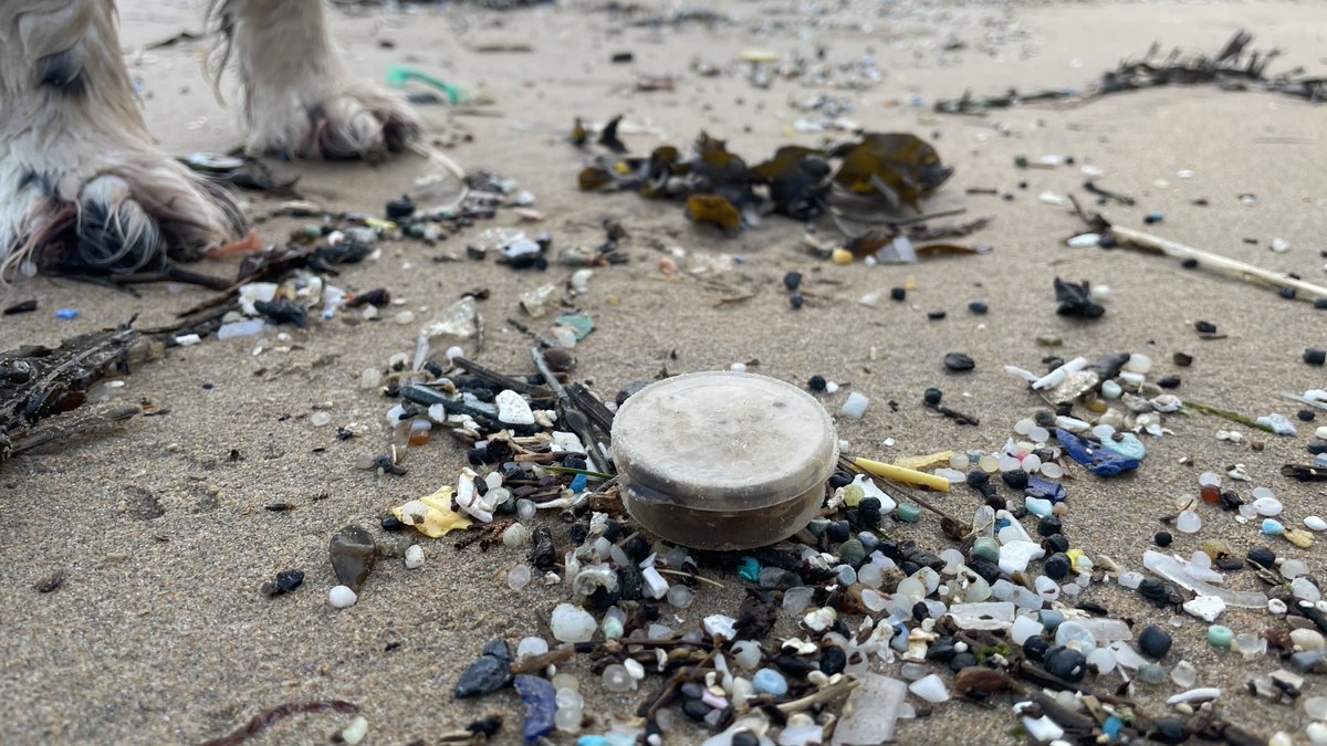 Lego Lost At Sea tweet media