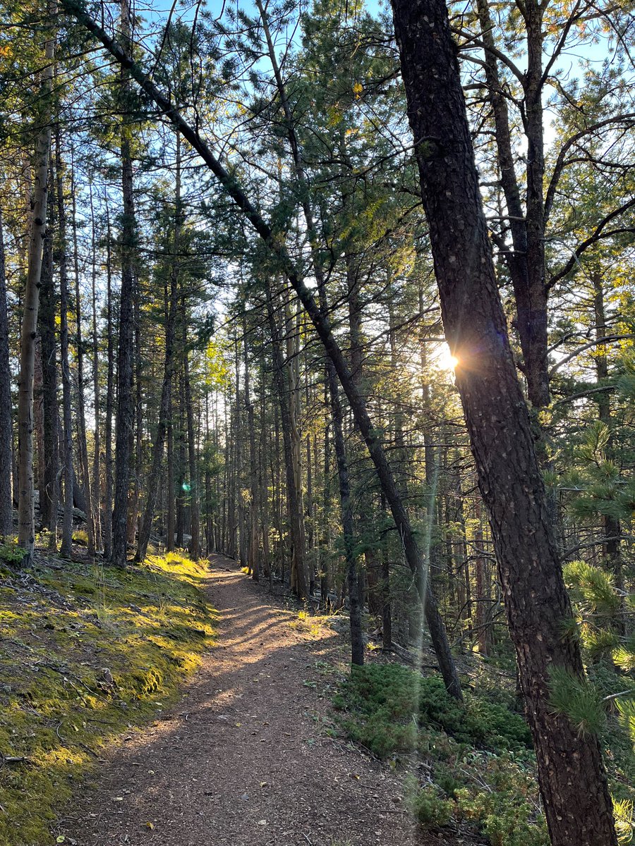 szieja's tweet photo. Dreaming of Colorado… https://t.co/AjnpyH2pmW