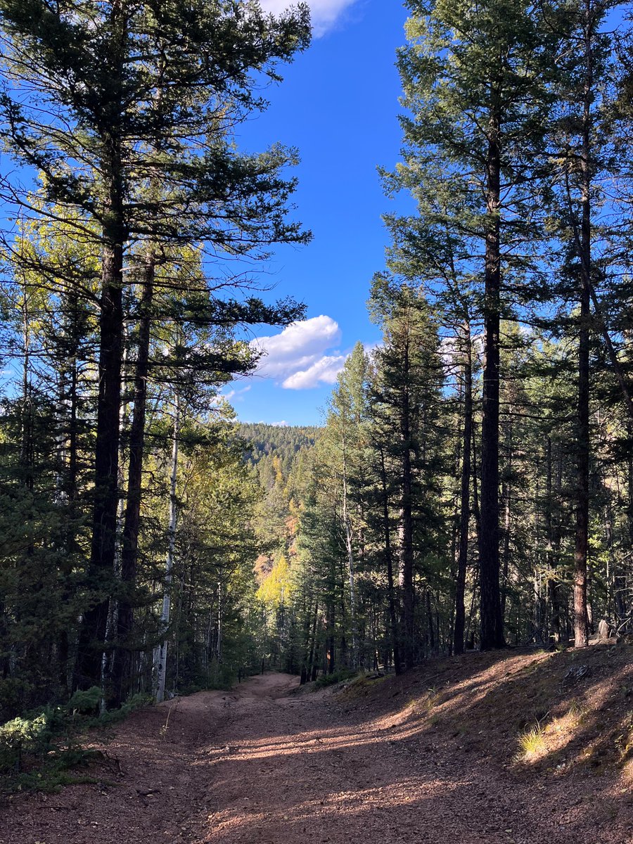 szieja's tweet photo. Dreaming of Colorado… https://t.co/AjnpyH2pmW