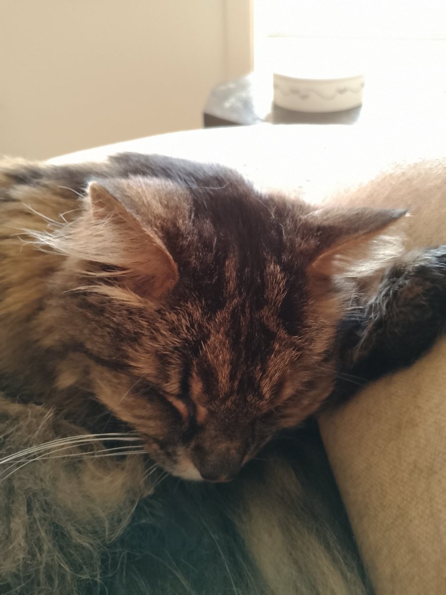 He so cute, so demanding!