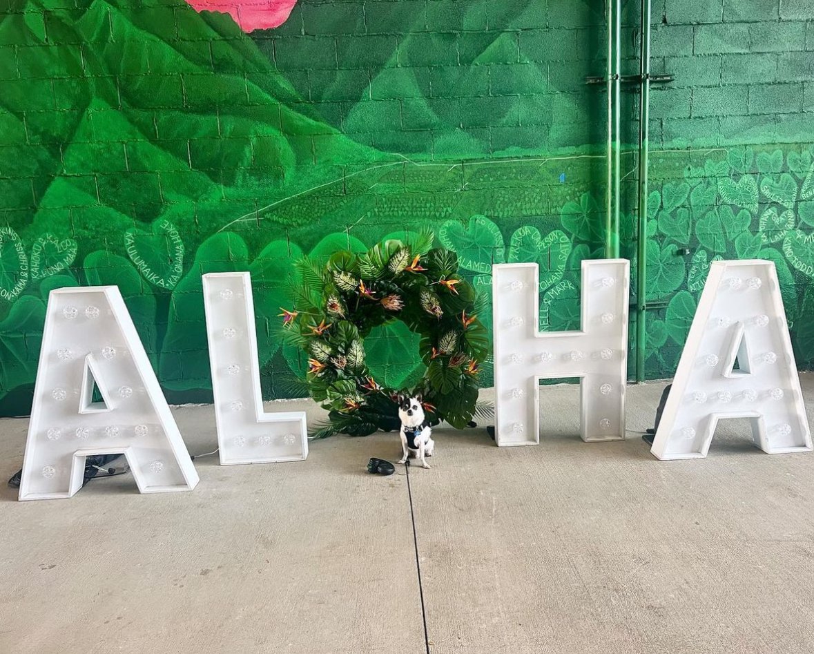 We hope you had PAW-some holidays!

We are excited for what the new year holds and can't wait to experience it with our community 🤙 Let us know what you are looking forward to in 2024 at Our Kaka‘ako!

#DogsofOurKakaako #PetFriendly #ThingstodoOahu