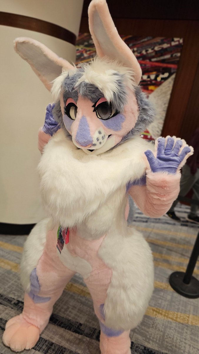 FurryChi's tweet image. Aaaa!!! #PDFC2023
Thanks so much for the photos!💜

@GamermacS
@bixxbyarkss