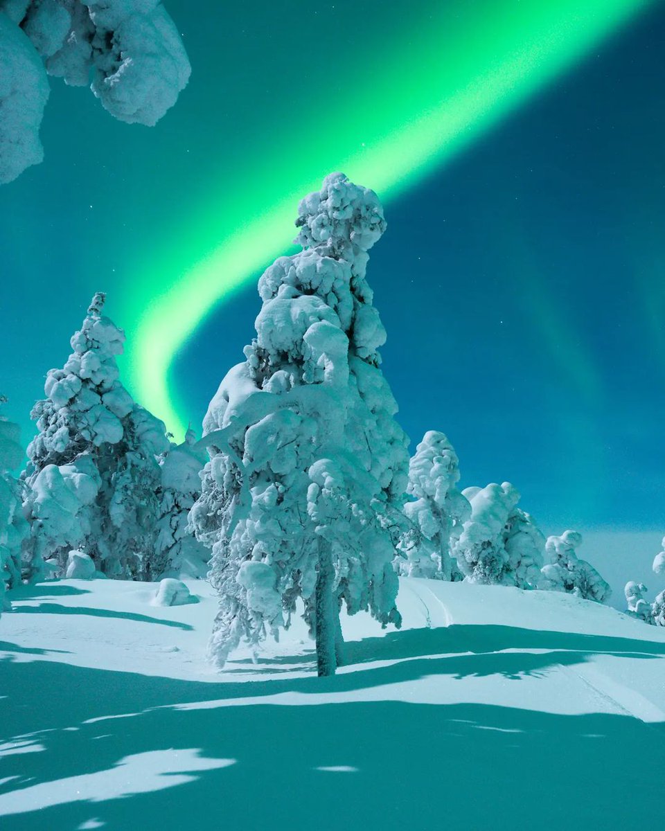 aeisteitiuil's tweet image. Kuusamo, Finland