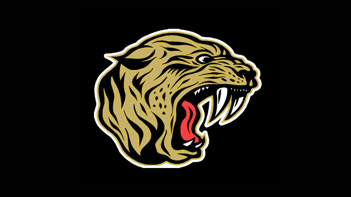 SW Indiana Sports tweet media