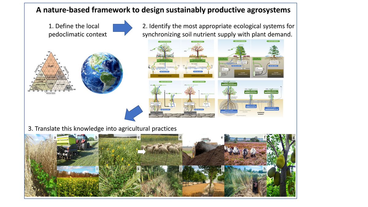 Global Change Biology tweet media