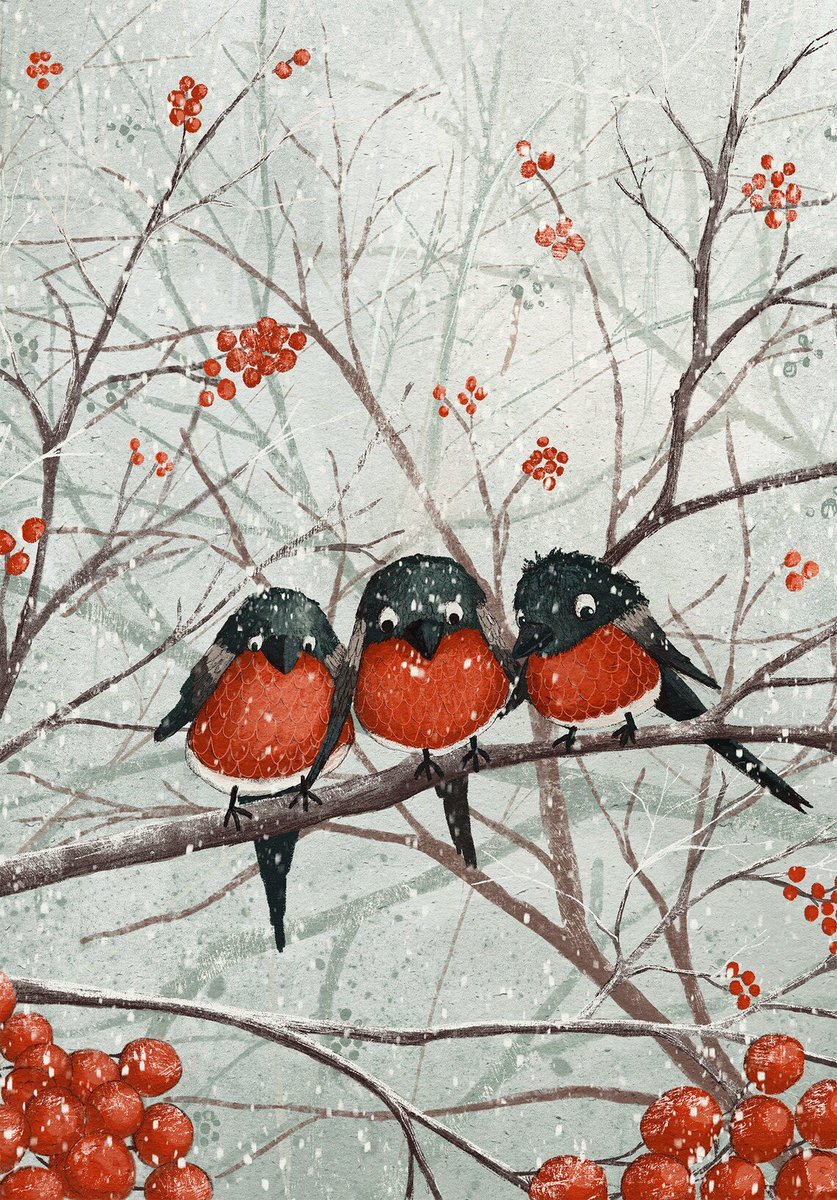 Maja Lindberg
Frosted branches
morning