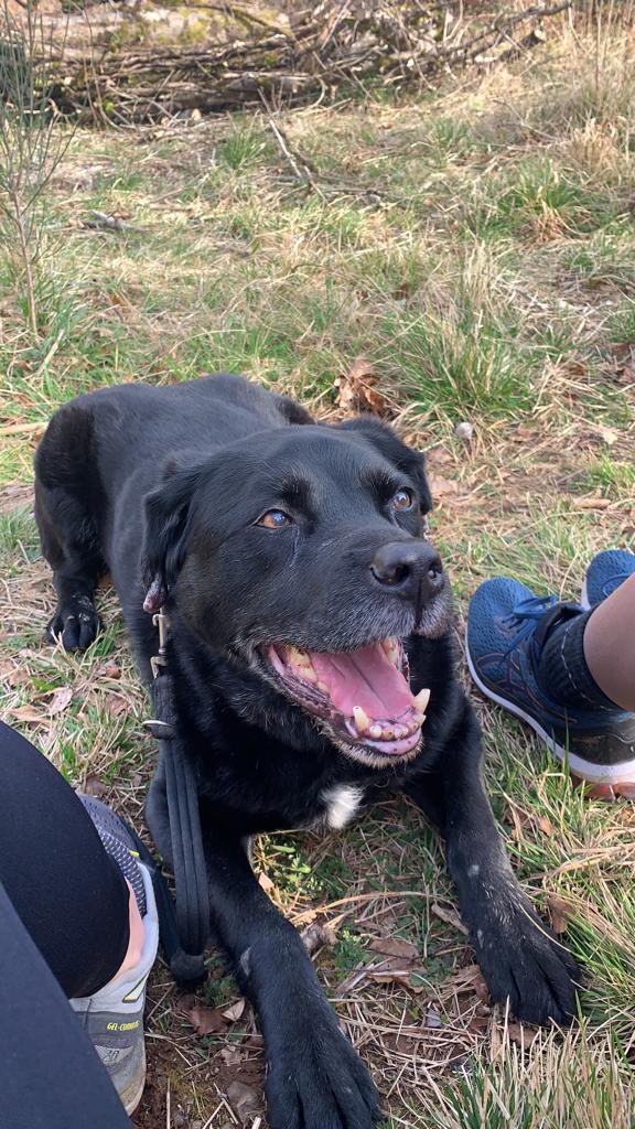 Chris Johnes tweet media