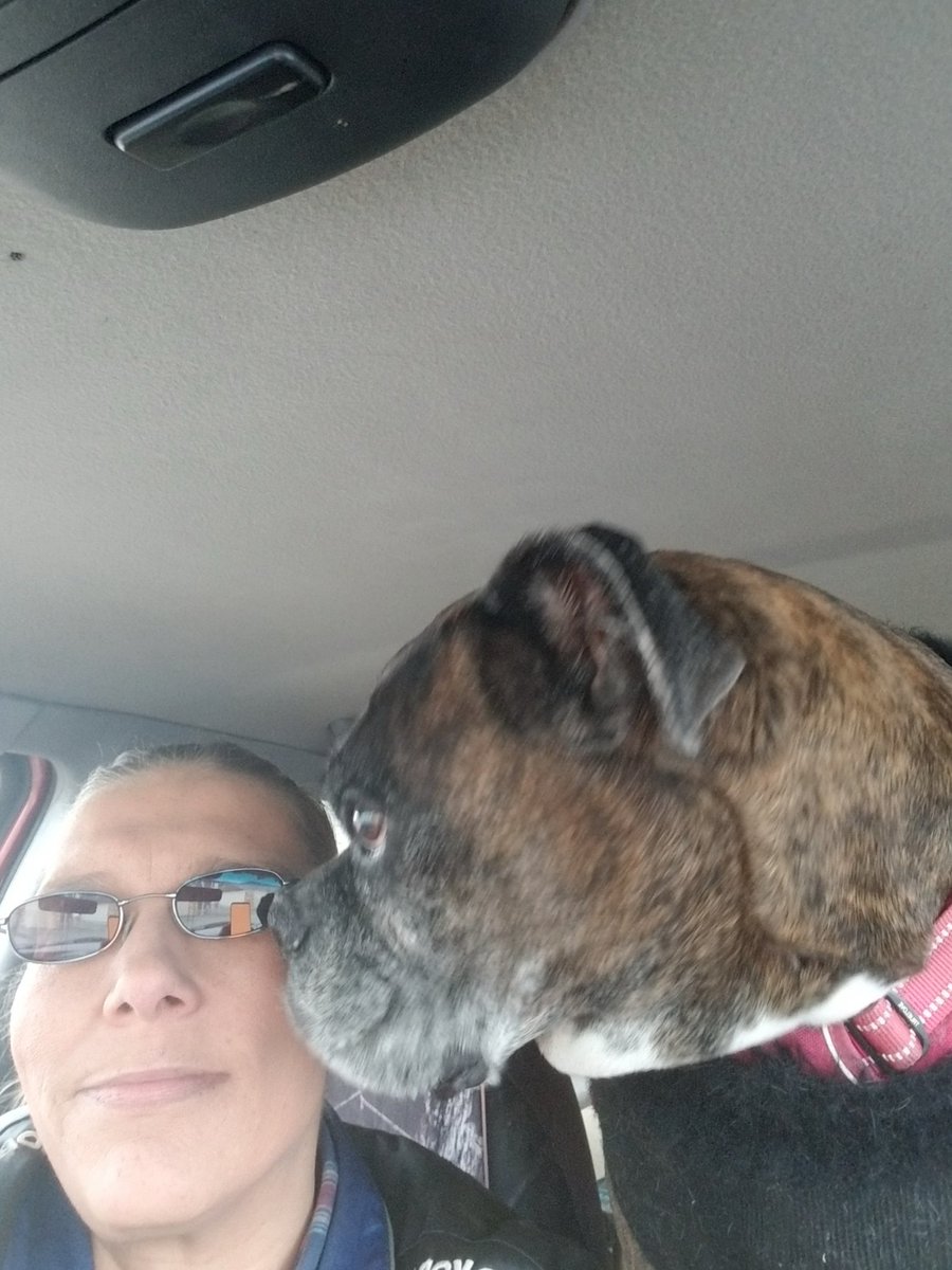 38Sandy48's tweet photo. Off to the store. Baby has her pain meds so she's raring to go ππ Hope your day is going great π https://t.co/FFiPDCmHIc