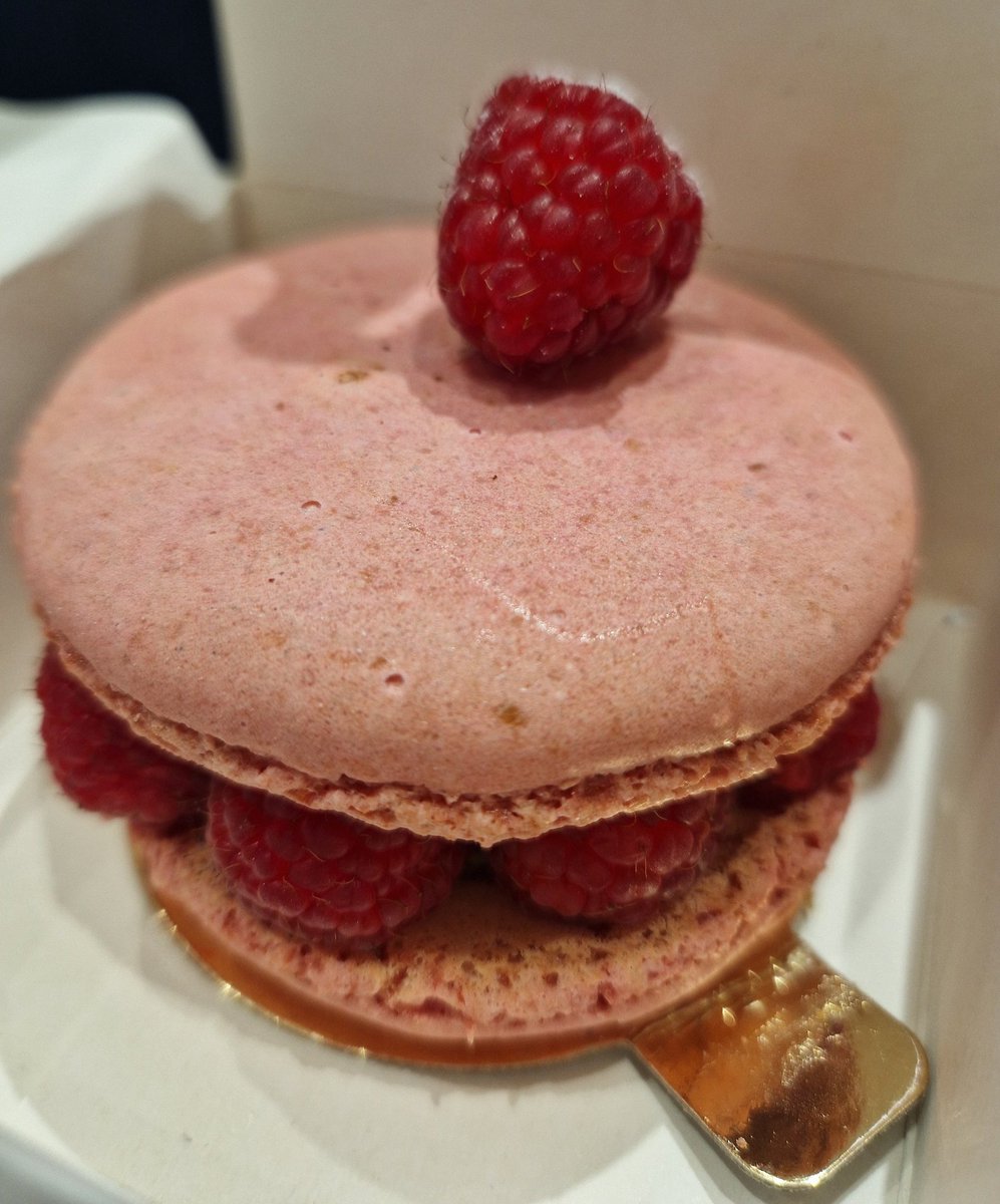 EaleeEnglish's tweet photo. Paris day two! After a less impressive 24,000 steps, the Louvre, Basilique du Sacré-Cœur, one giant raspberry macaron, a long stare up the Luxor Obelisk and a boat trip on the Seine we are done 😌 can't wait to come back! https://t.co/3TP96arYnk