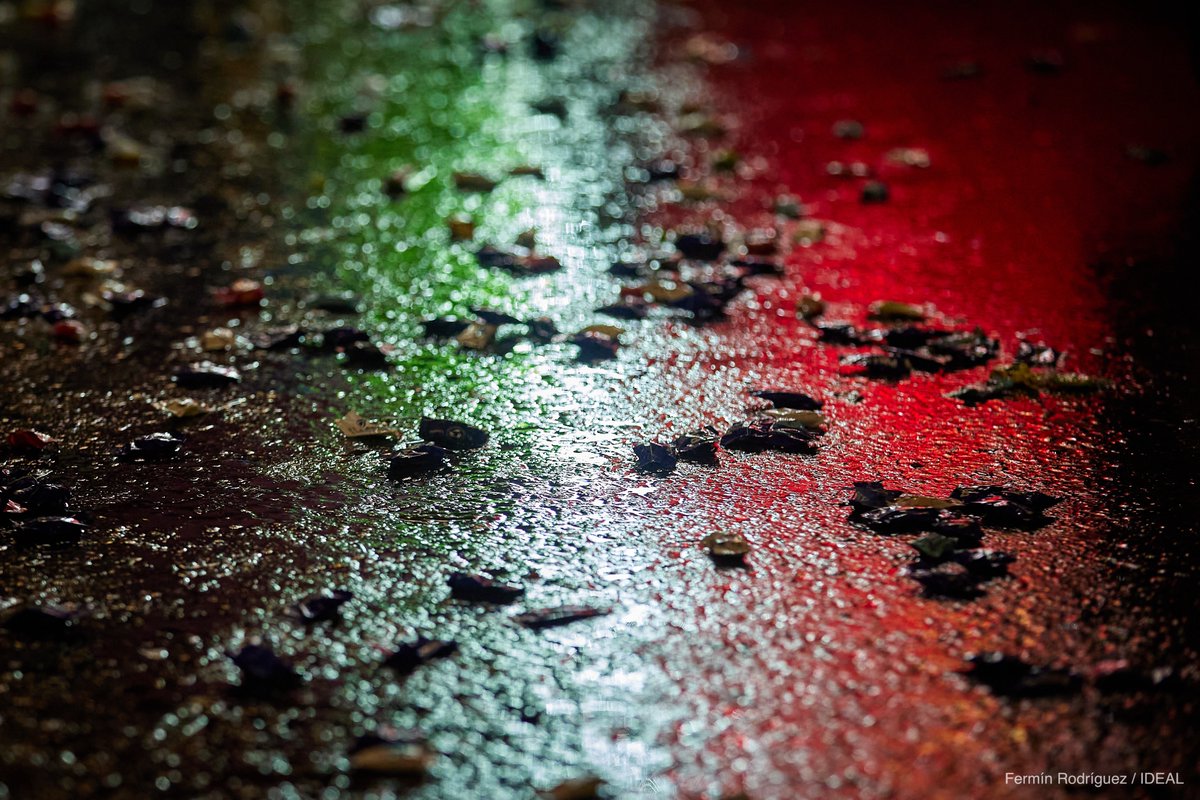 Fermín Rodríguez tweet media