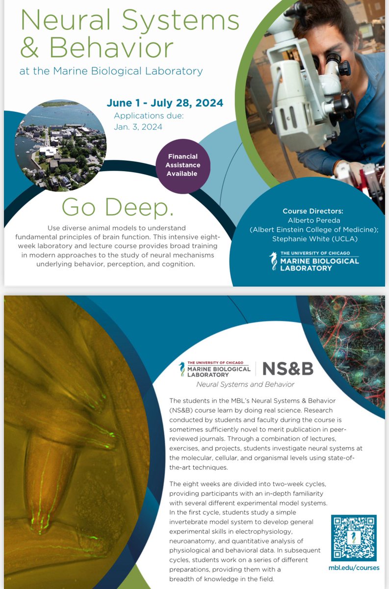 Interested in #Neurons and #Behavior? Please apply to <a href="/NSB_MBL/">NS&B</a> #Neural #Systems and #Behavior at <a href="/MBLScience/">Marine Biological Laboratory (MBL)</a> Deadline: January 10th 🧠 🐠 🪳 🪱 🐦 🦀