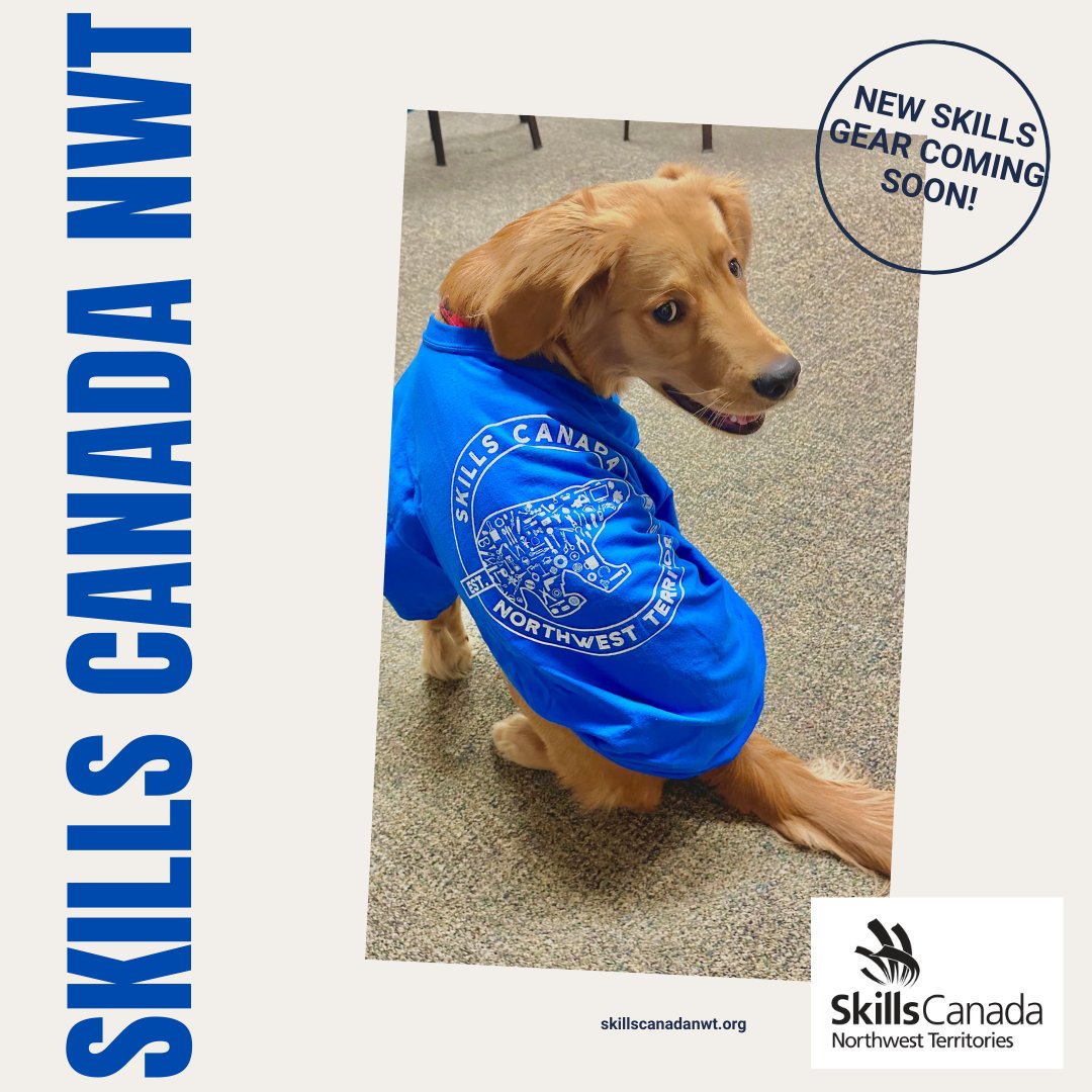 skillsnt's tweet photo. We've got some new Skills Canada NWT merchandise coming soon! (Even Molly loves the gear!) 😀 🐶 https://t.co/4pziBMRS1e