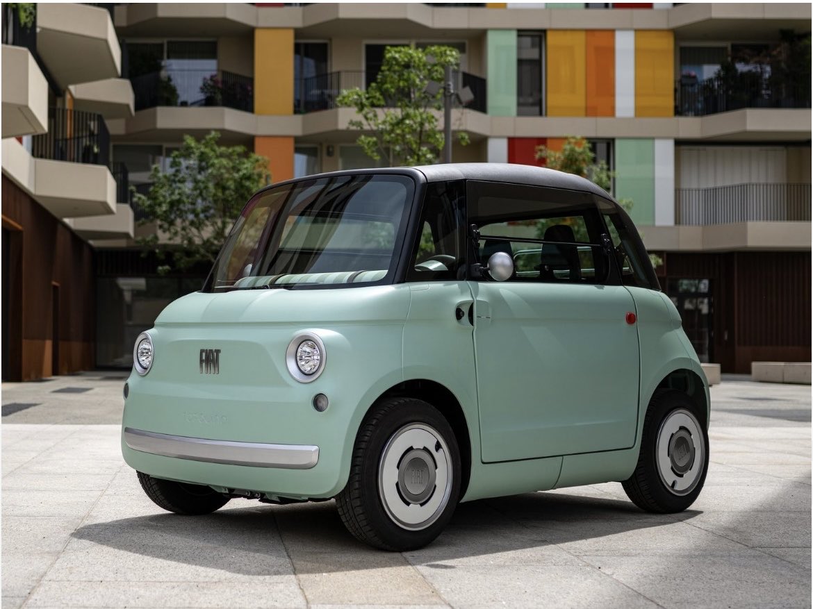 Tina 🐝🦋🐾🪴🐥🐱☀️💚 tweet media