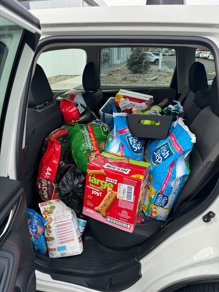 PatrickMotorGrp's tweet photo. We're making some shelter pets very happy today! Thank you to our team at our Volvo, VW &amp; central office locations for their generous donations to the Worcester Animal Rescue League. https://t.co/FcwWcALEyf