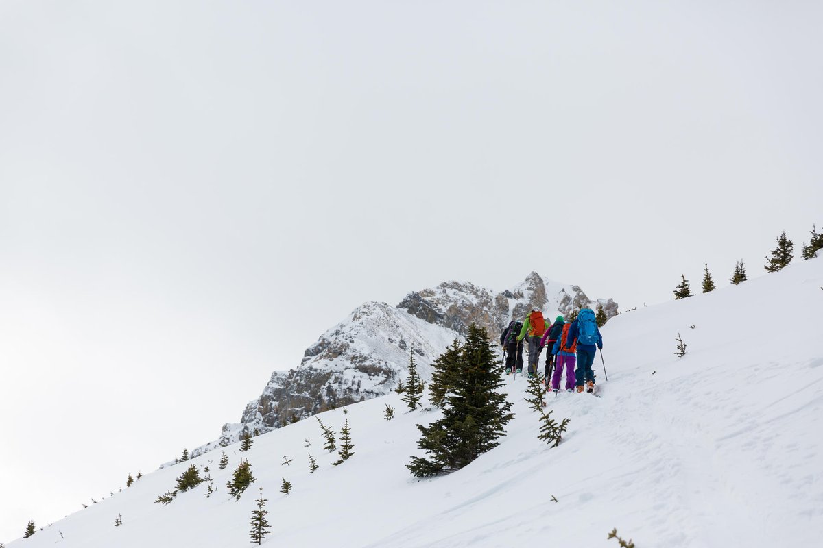 pnYoho's tweet photo. ⚠️Le manteau neigeux est mince et repose sur une base fragile. La première vague de froid arrive la semaine prochaine. 

Le risque d’avalanches diminue, mais cette base fragile sera présente pour un certain temps, et les déclenchements sont possibles.
➡️ https://t.co/W06779Fc7X https://t.co/yaOXCl5bbP