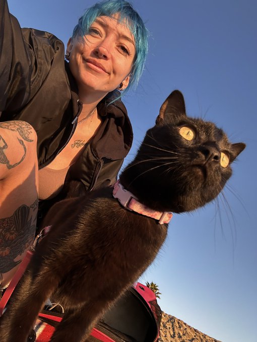 First day at the beach for my cute pussy 🖤 https://t.co/mpw5Ti2Uuu