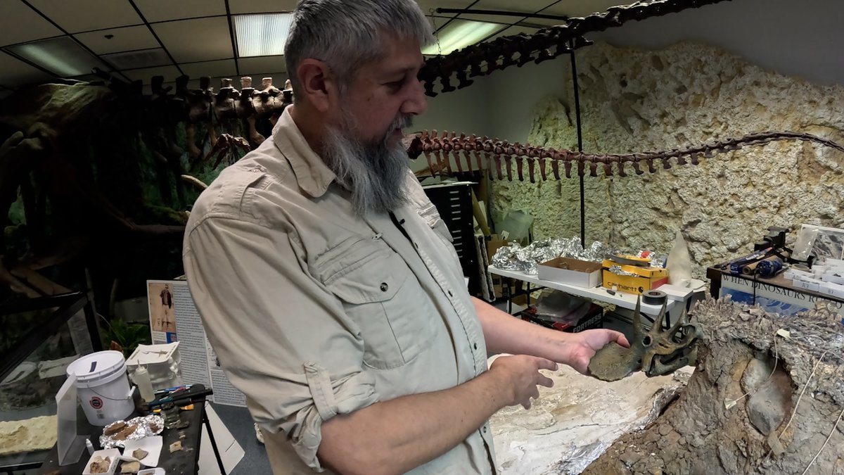 mwhittingtontv's tweet photo. A 66 million year old Triceratops skull can now be found right here in Middle Tennessee. 

I'll share more on how a Murfreesboro museum discovered the skull in Montana and brought it back to the area tonight at 6. @WKRN https://t.co/14qm6Xht3L