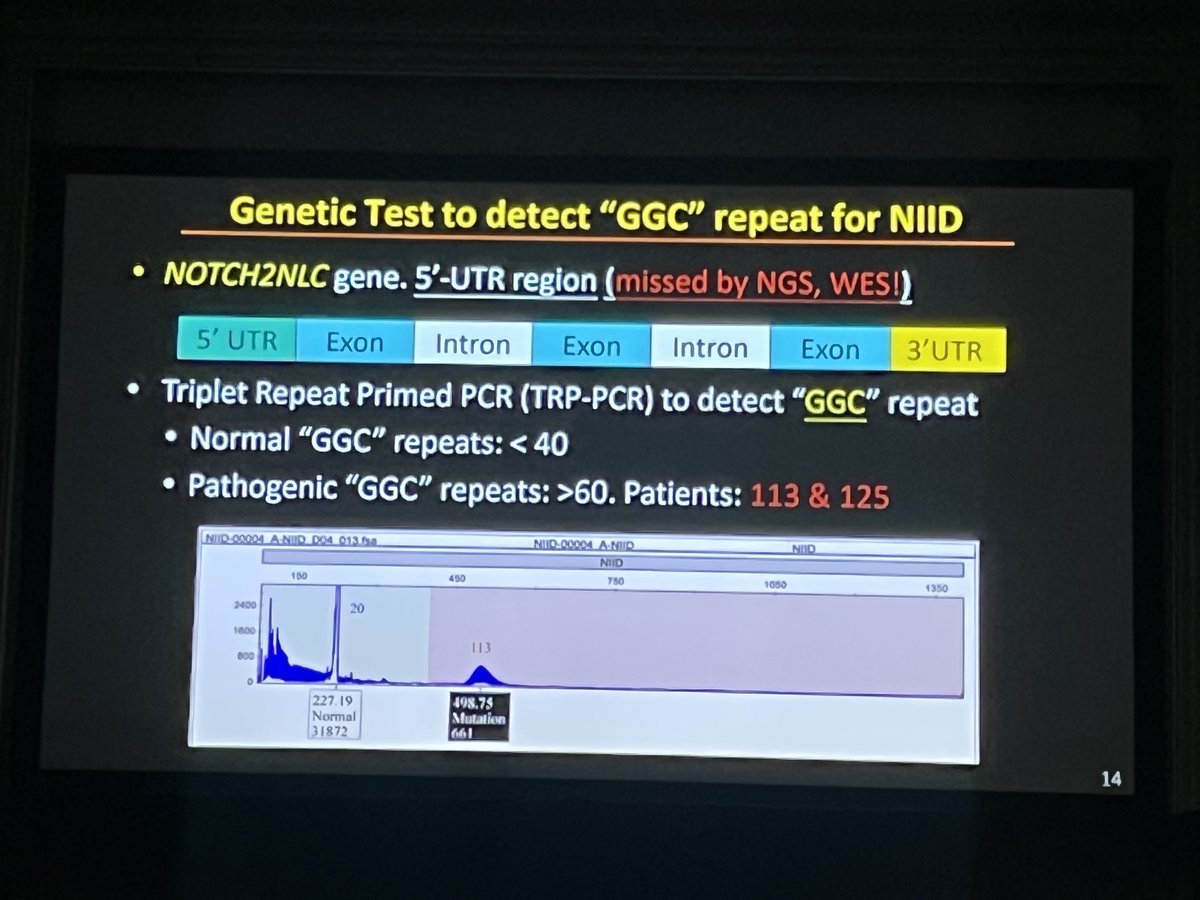 Nan-Kai Wang, MD, PhD, shared a wonderful case of neuronal intranuclear inclusion disease in a family, all of whom had negative WES testing. Dr. Wang had to repeat testing specific for GGC. #ACRC2024 #Retina