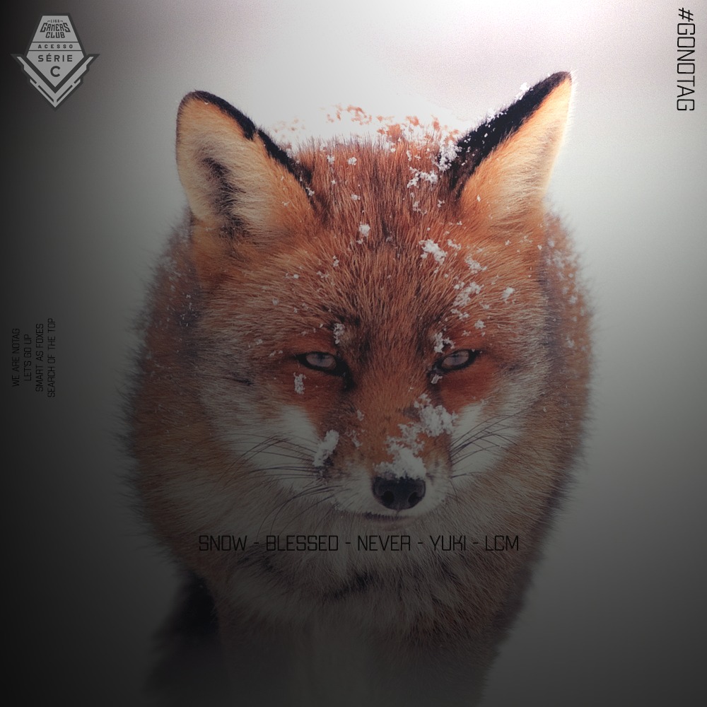 NoTagCS's tweet photo. 🚨MARQUEM NO CALENDARIO

- amanhã às 14 hrs, a nossa line masculina jogara a liga de acesso serie C, da @GamersClubCS

#GoNotag🦊 https://t.co/p6JrTk4ZFN