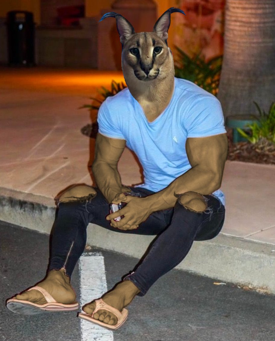 The final boss of cat coins has arrived.