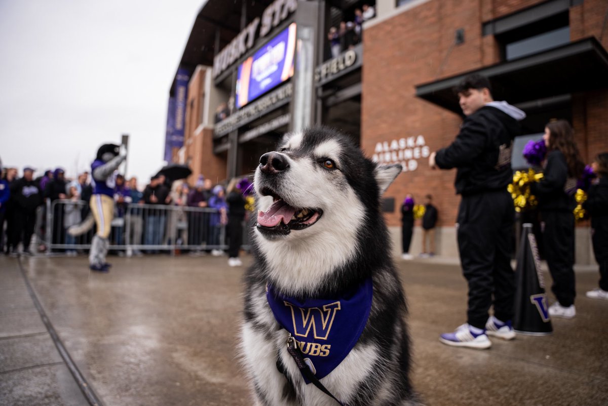 DubsUW's tweet photo. See you in Houston! 🐾 https://t.co/2IqNltpEnm