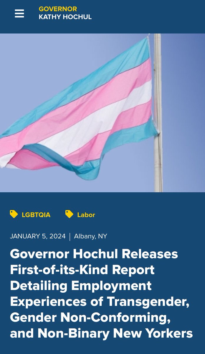 ronzacchi's tweet photo. Thank you @GovKathyHochul for this First-of-its-kind report detailing discrimination and systemic challenges in employment for #transgender #gendernonconforming #nonbinarygender https://t.co/Cn9Tm1xdXe