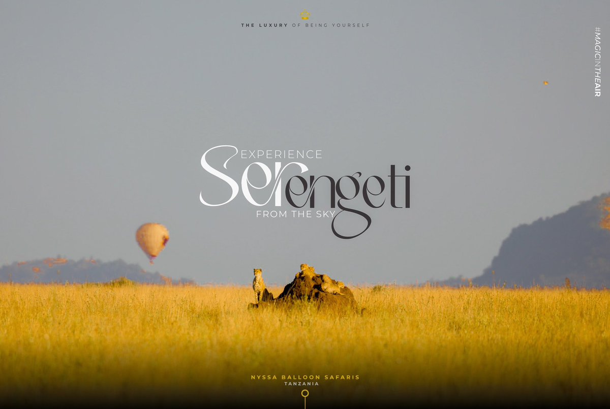 An unparalleled way to witness wildlife unfold beneath you, waiting in anticipation for each breathtaking moment. 

Book your safari now : fly@nyssaballoonsafaris.com

nyssaballoonsafaris.com