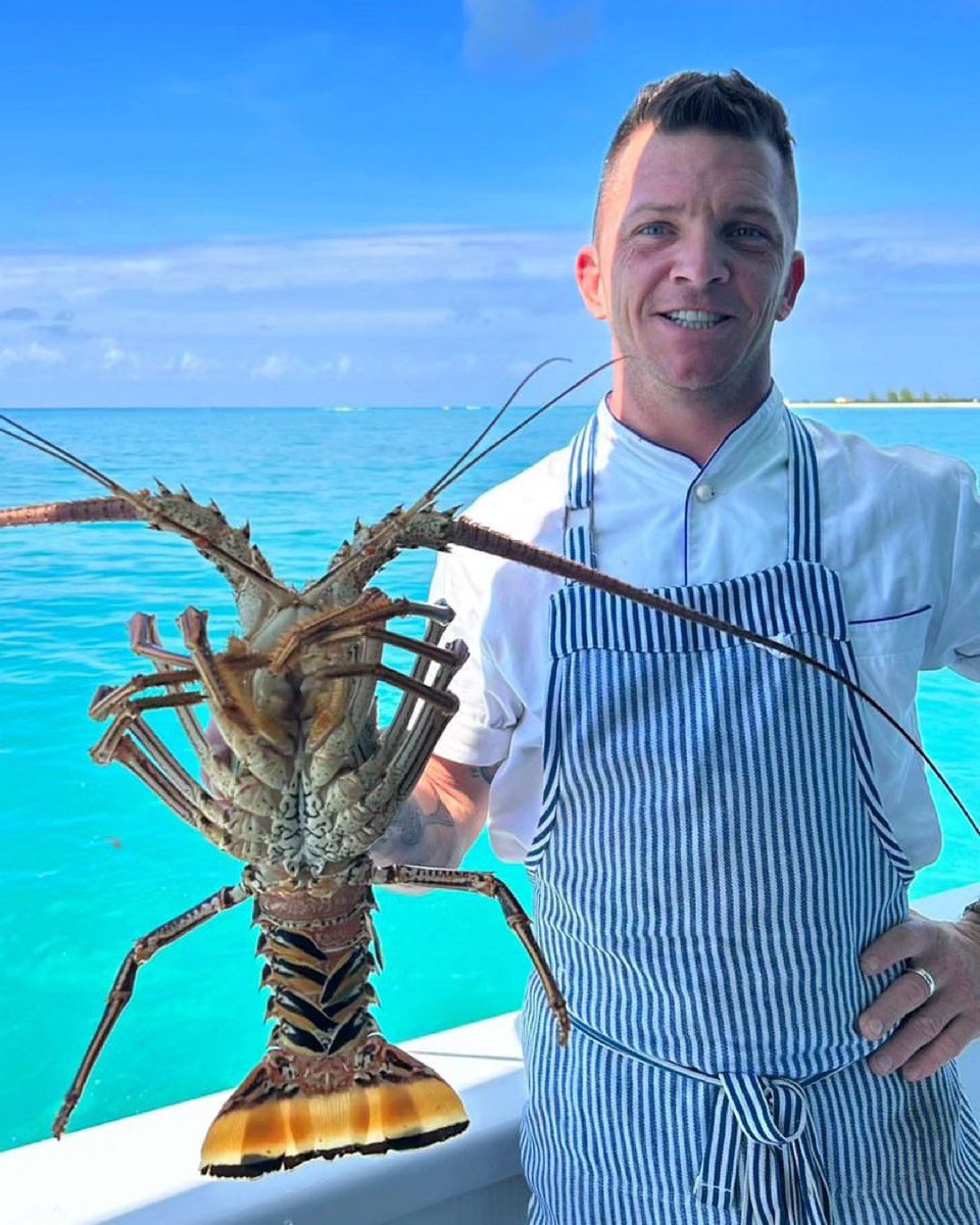 High End Chefs Network tweet media