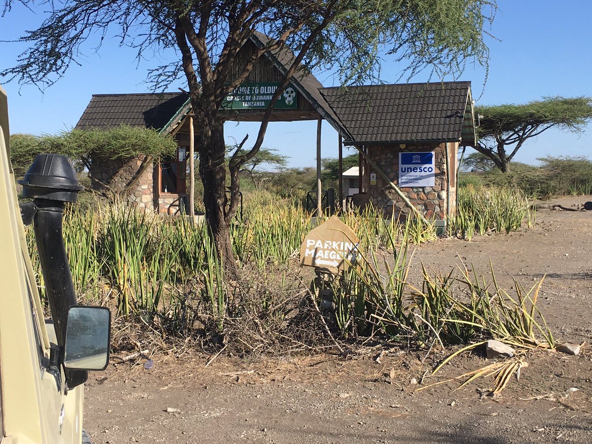 📍Olduvai Gorge, Ngorongoro,  Arusha, Tanzania. 
______________
30 Sept, 2023