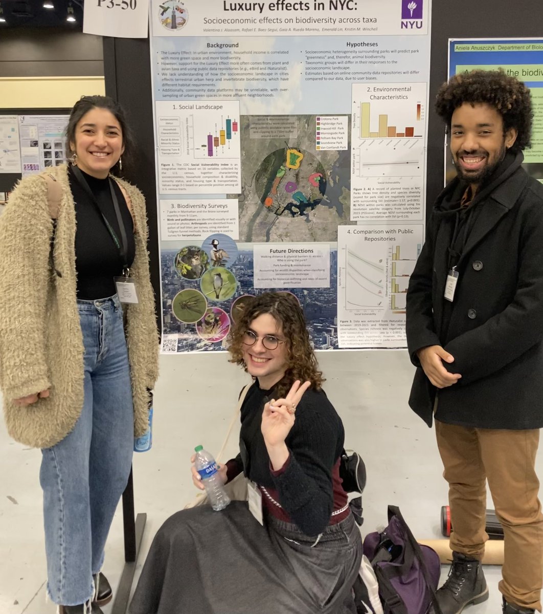 This evening at the poster session at #SICB2024! Check out the cool project postdoc @Vale_Alaasam is leading with MS student @Falacrocorax and undergraduate @Gaia__Papaya on patterns of organismal diversity in different socio-economic landscapes in NYC! #urbanecology