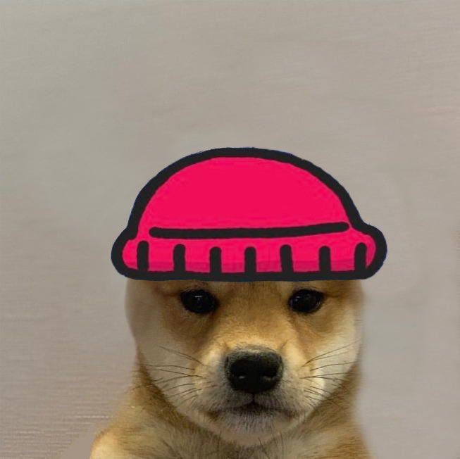 dogwifcoin tweet media