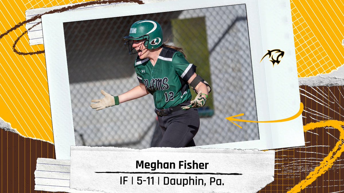 Adelphi Softball tweet media