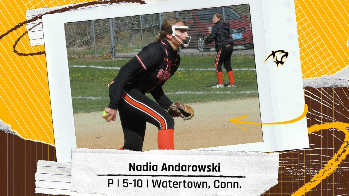 Adelphi Softball tweet media