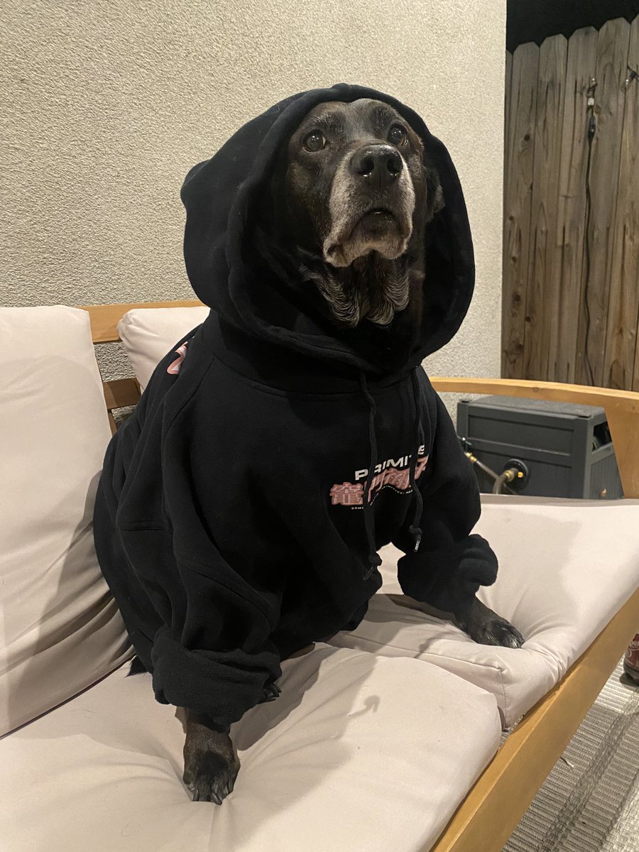 devynlundy's tweet photo. Navi said it was pretty cold last night. https://t.co/pWYmHPrFG6