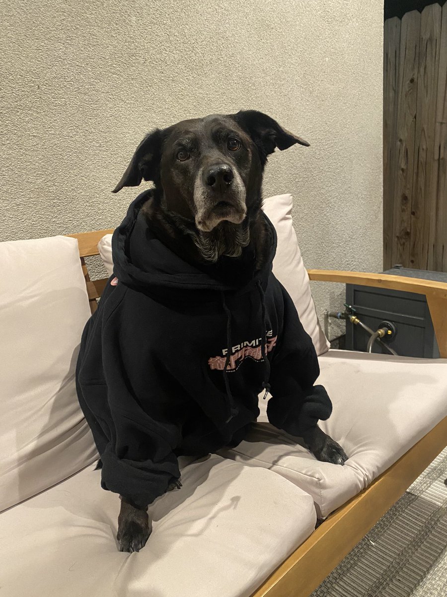 devynlundy's tweet photo. Navi said it was pretty cold last night. https://t.co/pWYmHPrFG6